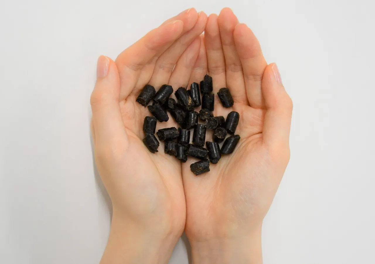 持続可能な選択（バイオマス技術紹介）